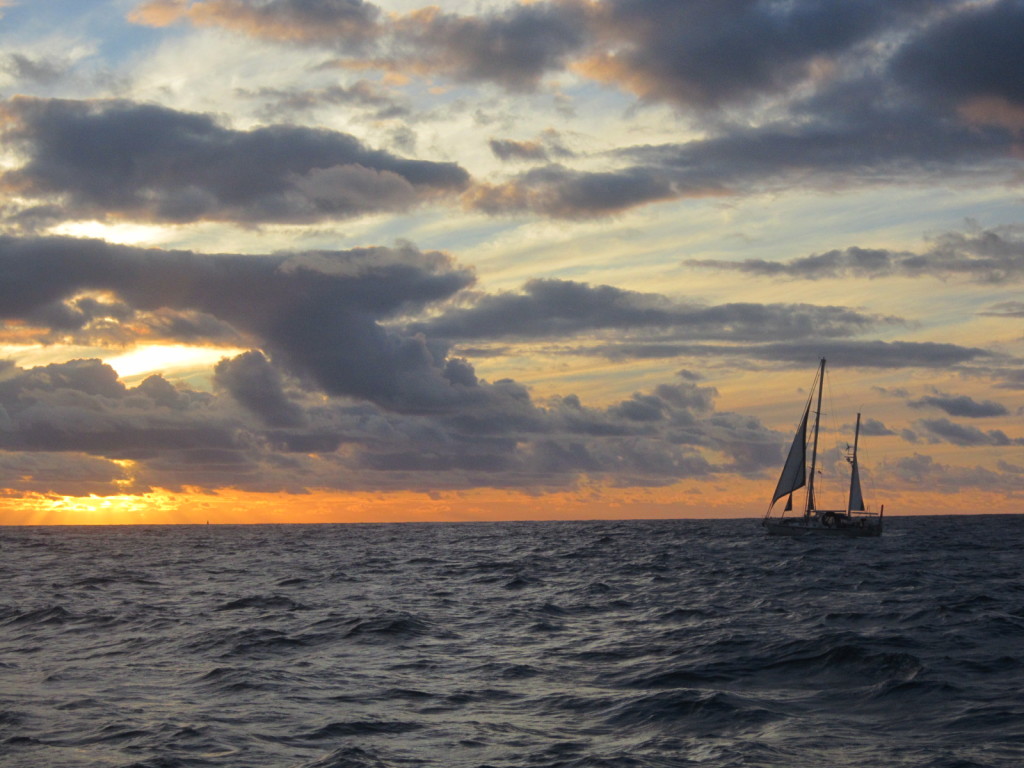 Sailing across the Tasman Sea
